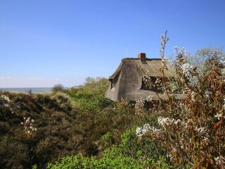 Vakantiehuis List Omgeving 15