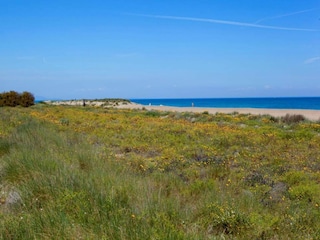 Villa Denia Omgeving 37