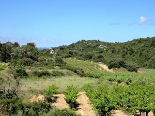 Appartamento per vacanze Assignan Ambiente 26