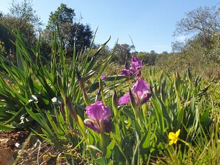 Springtime