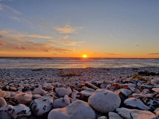 Vakantiehuis Grenaa  7