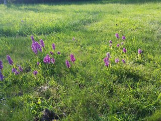 Vakantiehuis Löttorp  16