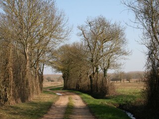 Spazierweg zum Flüsschen Seille im Winter