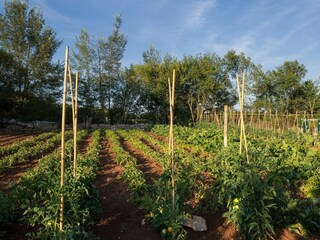 Villa Kanfanar Ambiente 34