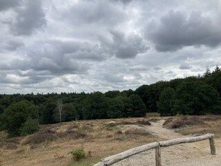 Fahrradtouren im Nationalpark Veluwezoom