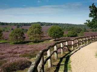 Veluwezoom National Park