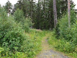 Vakantiehuis Welt  19