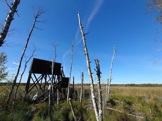 Casa per le vacanze Welt  7