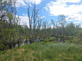 Casa per le vacanze Welt  23