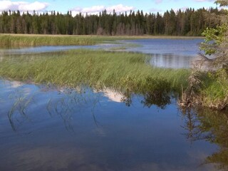 Holiday house Welt  31