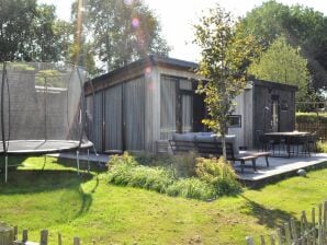 Chalet in Friesland mit eingezäuntem Garten - Veenhuizen - image1