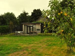 Vrijstaand chalet in Friesland met omheinde tuin - Veenhuizen - image1