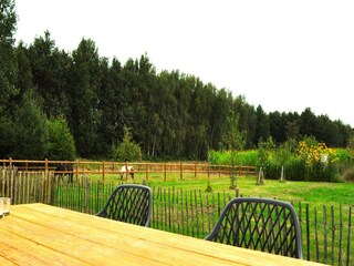 Chalet Veenhuizen Außenaufnahme 12