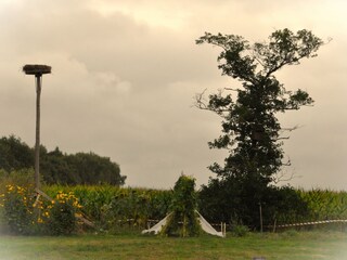 Chalet Veenhuizen Außenaufnahme 2