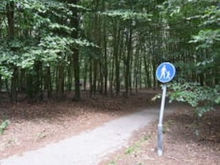 Chalet Veenhuizen Environment 30