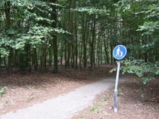 Chalet Veenhuizen Omgeving 25