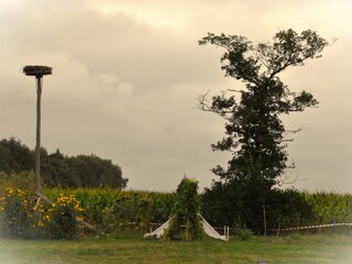 Chalet Veenhuizen Außenaufnahme 11