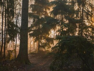 Chalet Veenhuizen Environnement 25