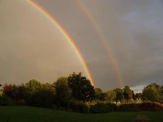 Chalet Veenhuizen Environment 26