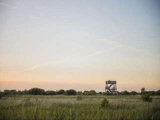 Chalet Veenhuizen Umgebung 37