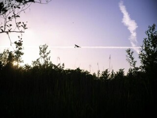 Chalet Veenhuizen Umgebung 37