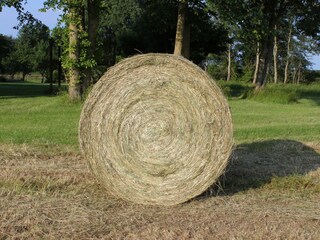 Ferienhaus Osterhever Umgebung 30