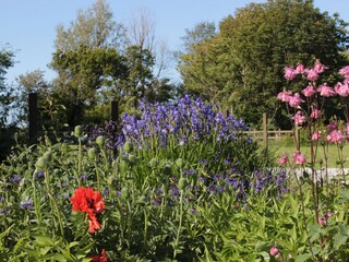 Ferienhaus Osterhever Ausstattung 26
