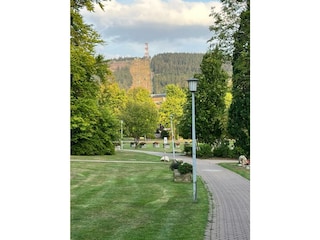 Blick zum Bocksberg