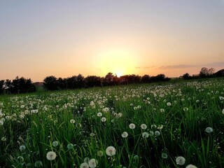 Ferienhaus Kegnæs  26