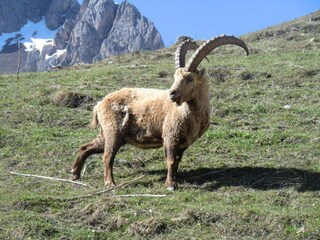 Maison de vacances Le Monêtier-les-Bains Environnement 26