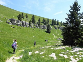 Casa per le vacanze Pedavena Ambiente 38