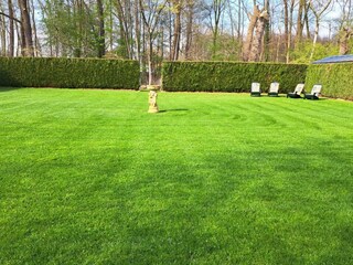 Ferienhaus Mill Außenaufnahme 11