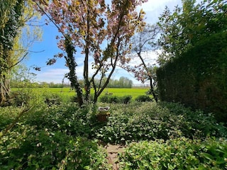 Holiday house Mill Outdoor Recording 2