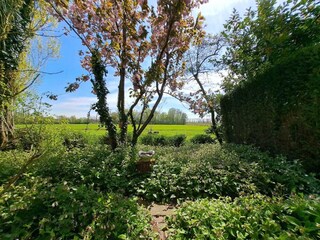 Vakantiehuis Mill Buitenaudio-opname 2