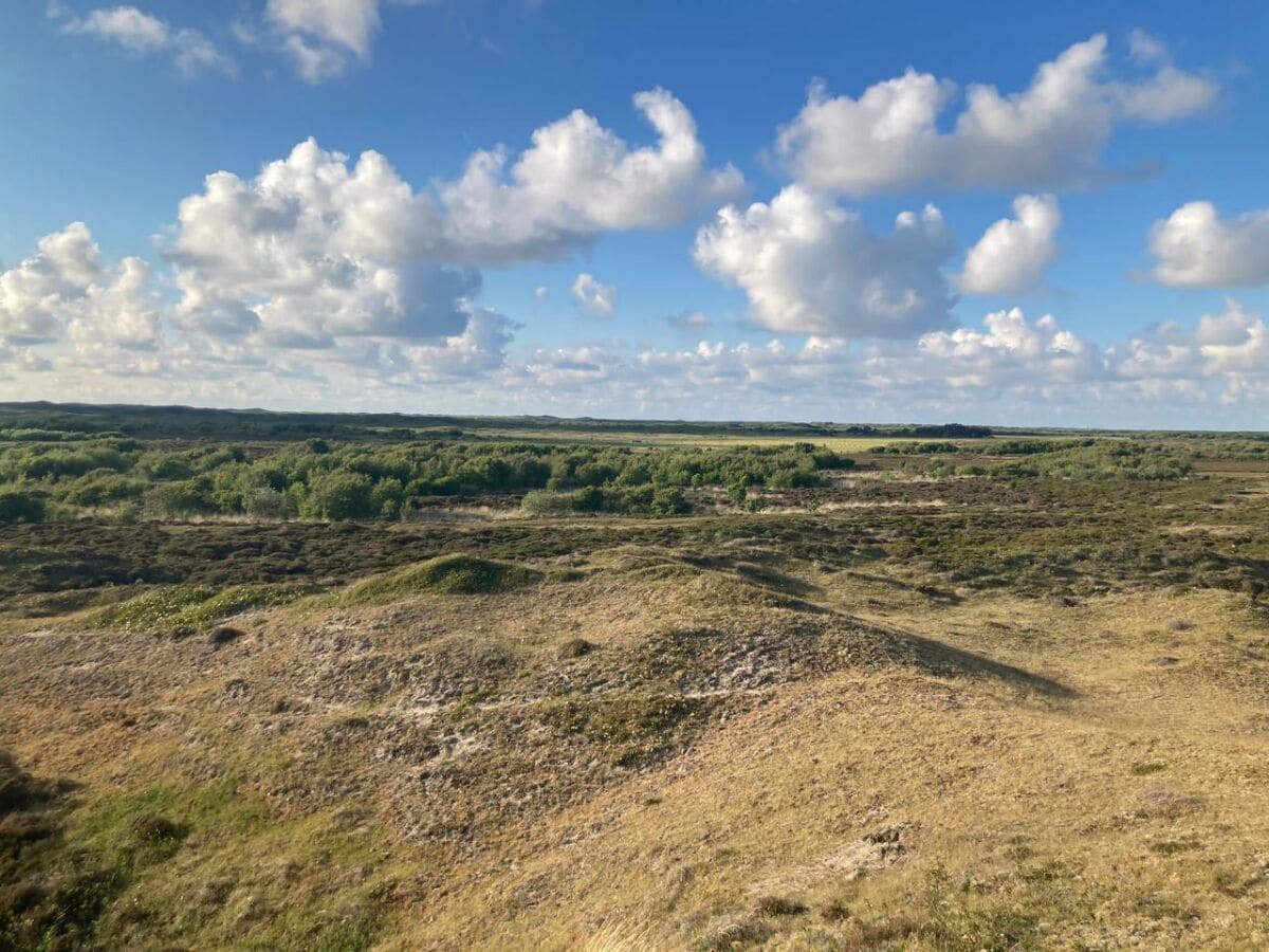 Naturschutzgebiet "De Nederlanden"