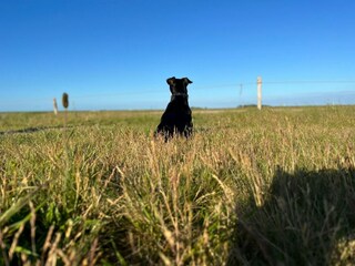 Casa per le vacanze De Koog Ambiente 36