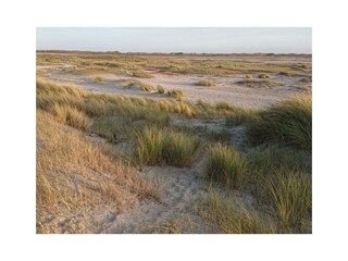 Vakantiehuis De Koog Omgeving 38