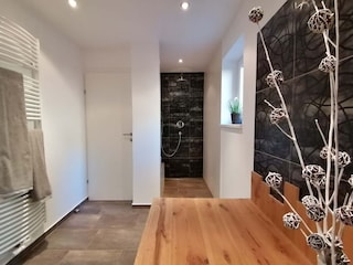 Apartment Dienten Ausstattung 19