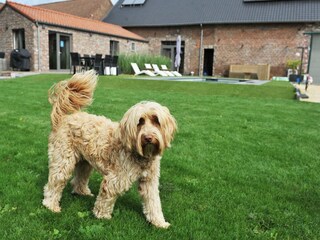 Holiday cottage Sittard Outdoor Recording 4