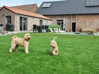 Casa de vacaciones Sittard Grabación al aire libre 3
