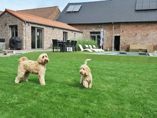 Maison de vacances Sittard Enregistrement extérieur 9