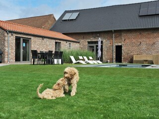 Casa de vacaciones Sittard Grabación al aire libre 7