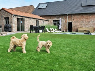 Vakantiehuisje Sittard Buitenaudio-opname 8