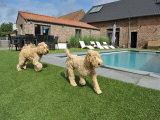 Casa vacanze Sittard Registrazione all'aperto 10