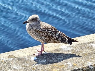 Appartement Wilhelmshaven  40