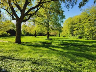 Apartamento Wilhelmshaven Entorno 24