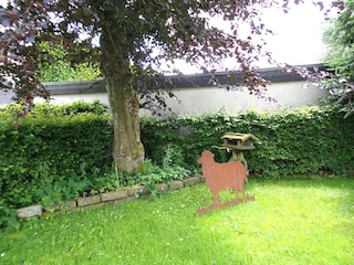 Ferienhaus Monschau Außenaufnahme 7