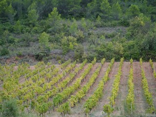 Maison de vacances Cébazan Environnement 44