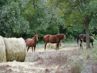 Maison de vacances Cébazan Environnement 46