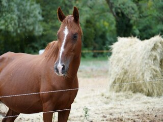 Casa de vacaciones Cébazan Entorno 56